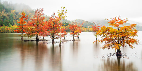 Autumn Reflection at Ocoee Lake