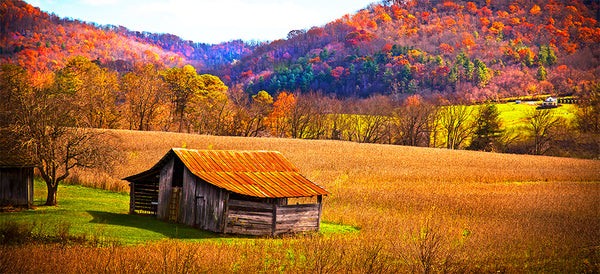 Heartland