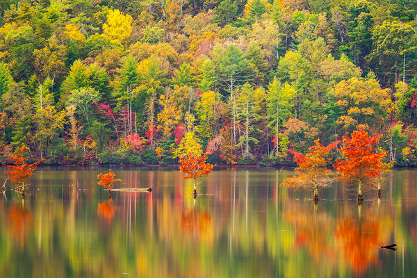 Autumn’s Mirror
