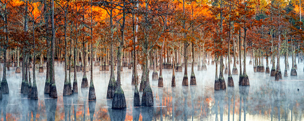 Padles In The Mist