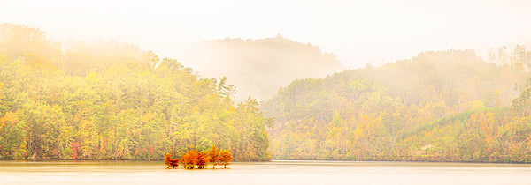 Whispers of Early Autumn